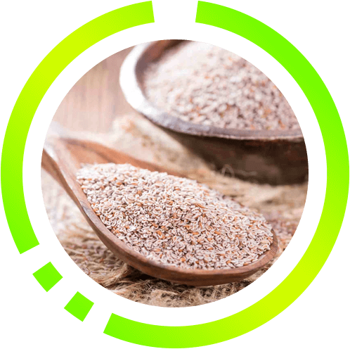Psyllium ingrediente natural do Lift Detox Black
