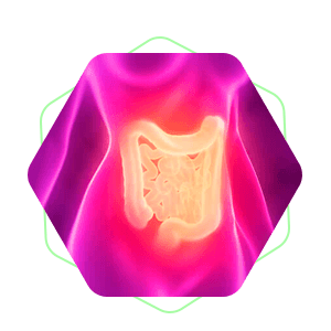 Desintoxicação intestinal proporcionada pelo Lift Detox Black